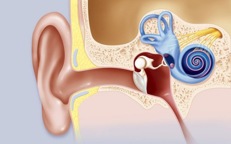 Ear Doctor Rockville MD: Six Common Myths about Tinnitus and the Facts behind Them