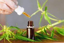 Finer Values for the CBD Oil Purchase and More