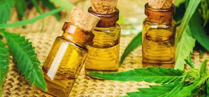 Hemp oil seed – Amazing results for the skin and beauty!!