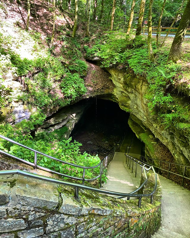 A scenic view of a stone staircase leading down into a lush, green cave entrance, surrounded by natural foliage.