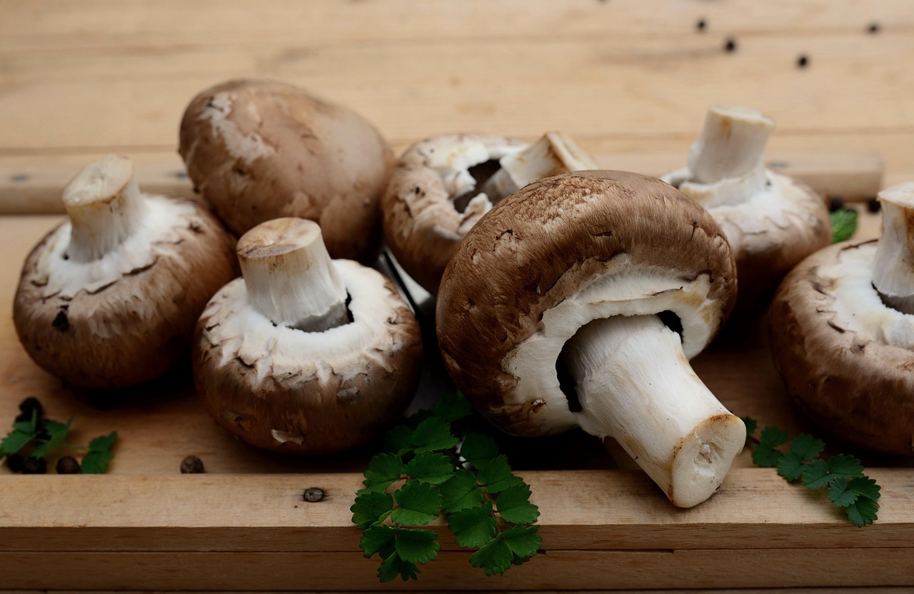 Mushrooms, edible mushrooms, vegetarian — 5 Best Meal Replacement Shakes Reviews to Drink for Your Diet Program