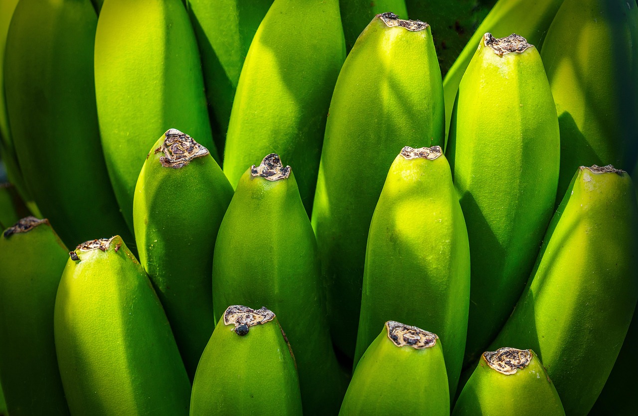 Banana tree, fruit, nourishment — Different Cosmetic Surgeries That Will Enhance Your Beauty