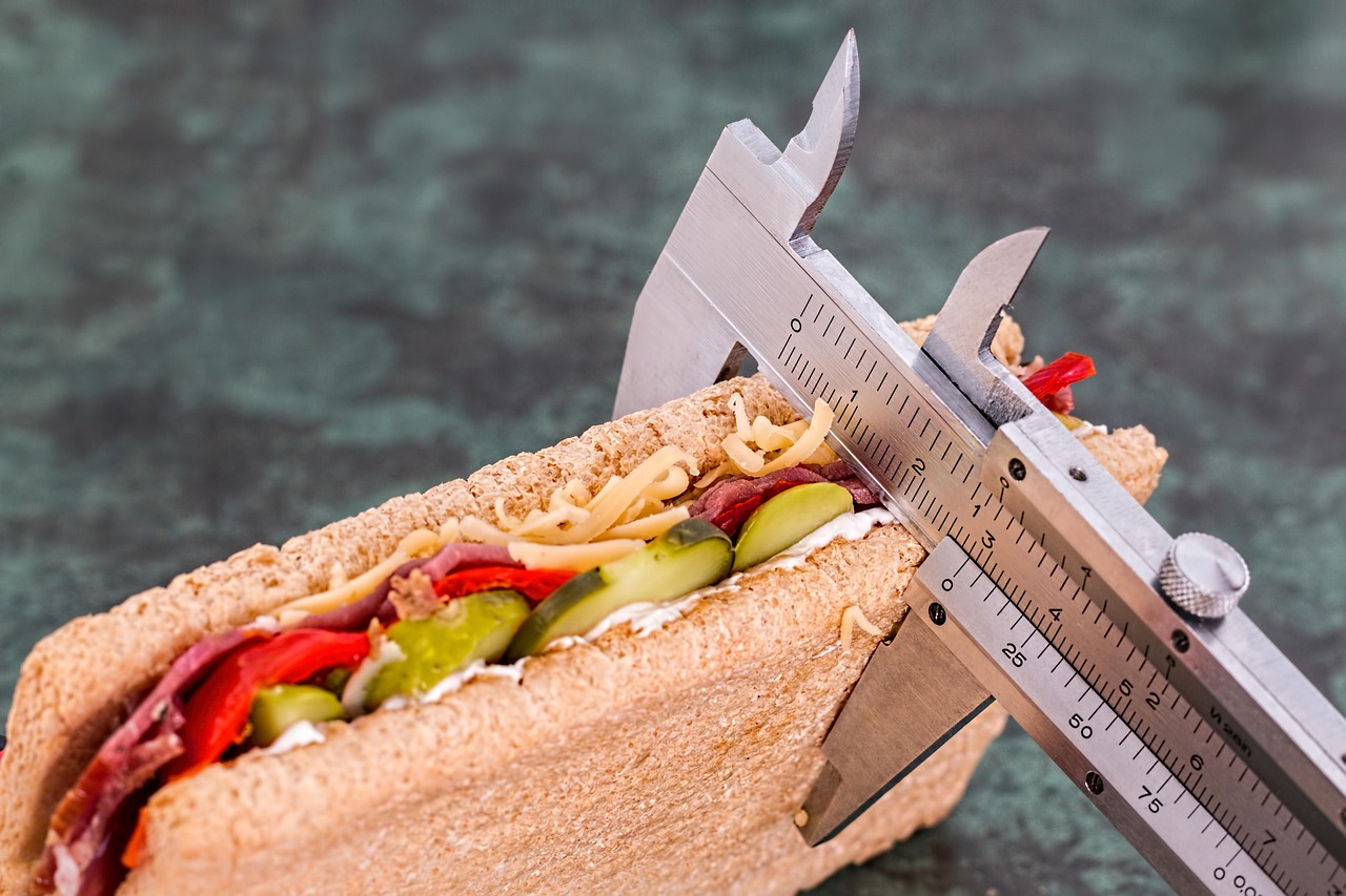 Diet, vernier, sandwich — Get back in shape with the best workout recommendations
