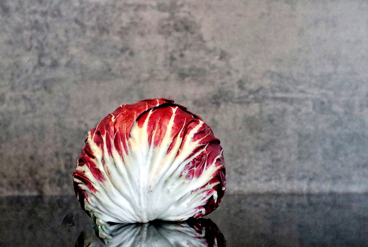 Salad, radicchio, food — Get ideas on how to use cbd pain cream easily