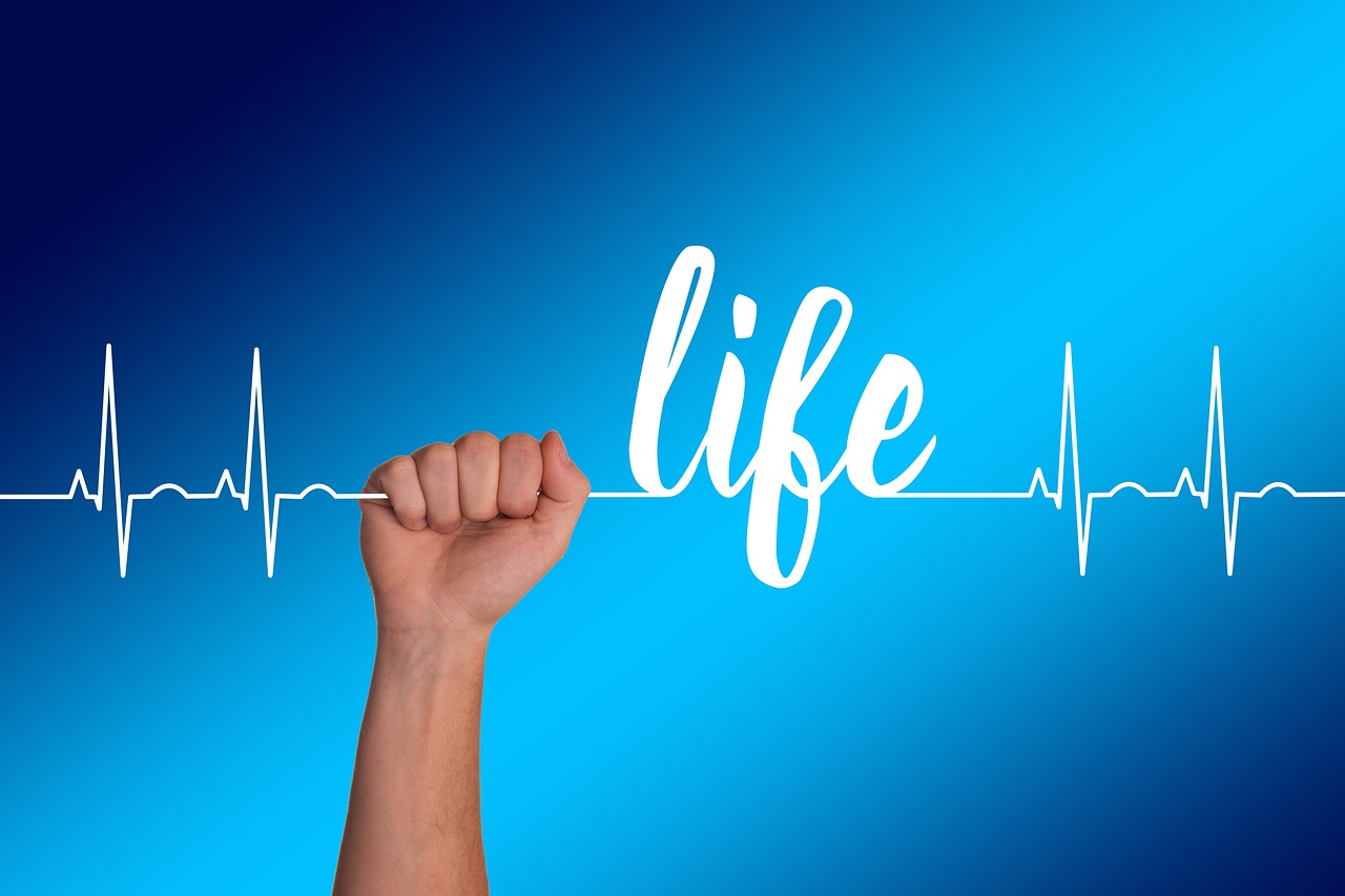 Heart, curve, life — How Fitness Club Helps You To Improve Your Lifestyle?