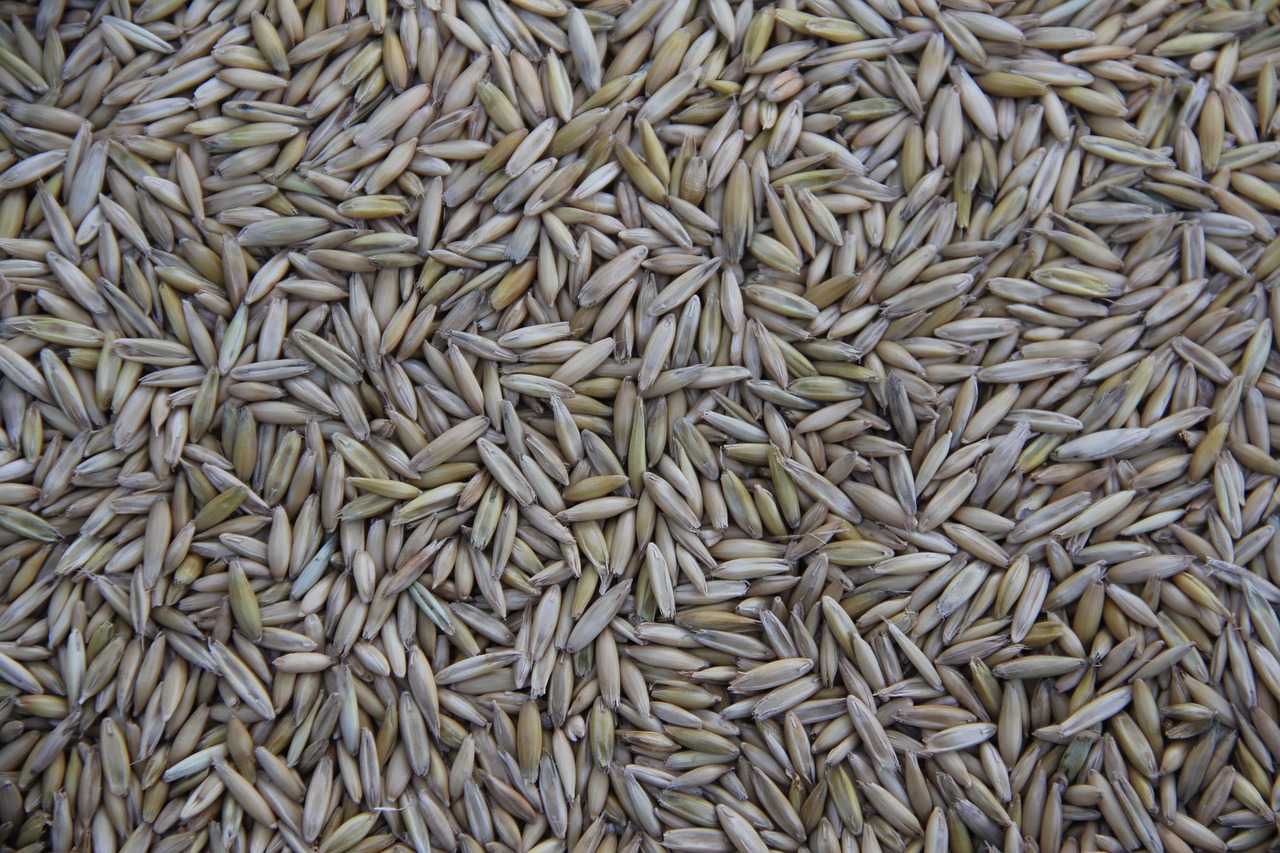 Cereal, grain, farming — Purchasing steroid products online with ease