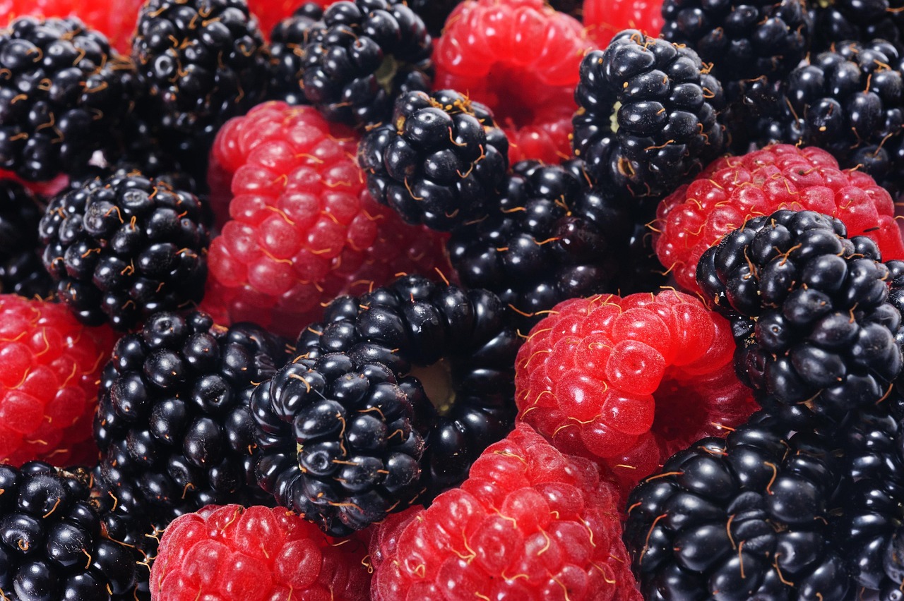 Raspberries and blackberries, forest fruits, closeup — The Pain Relief Center Helps You To Find The Knee Pain Based Symptoms