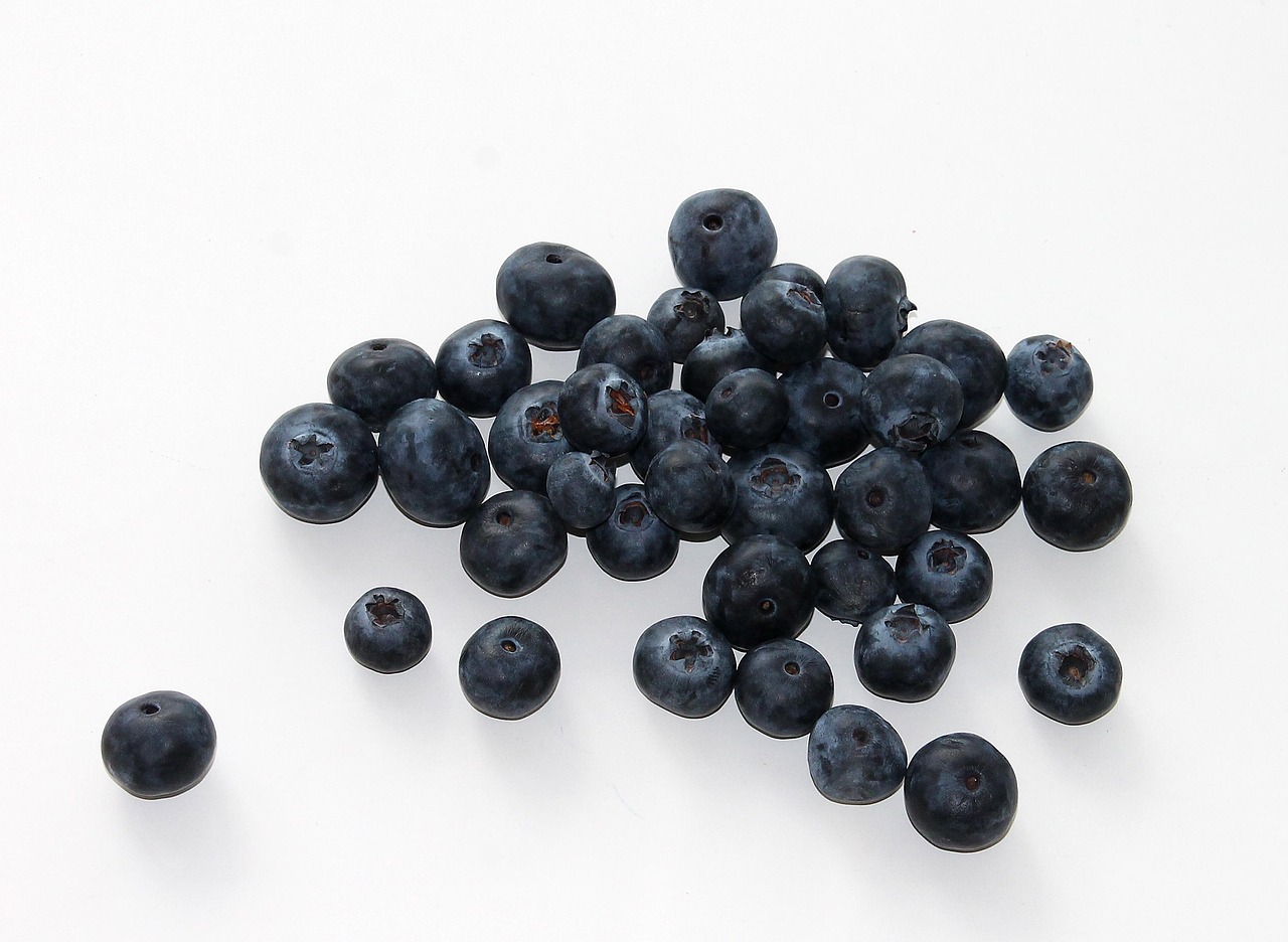 Blueberry, fruit, food — Top Features to Look For in a Mobile Home Insurance Provider