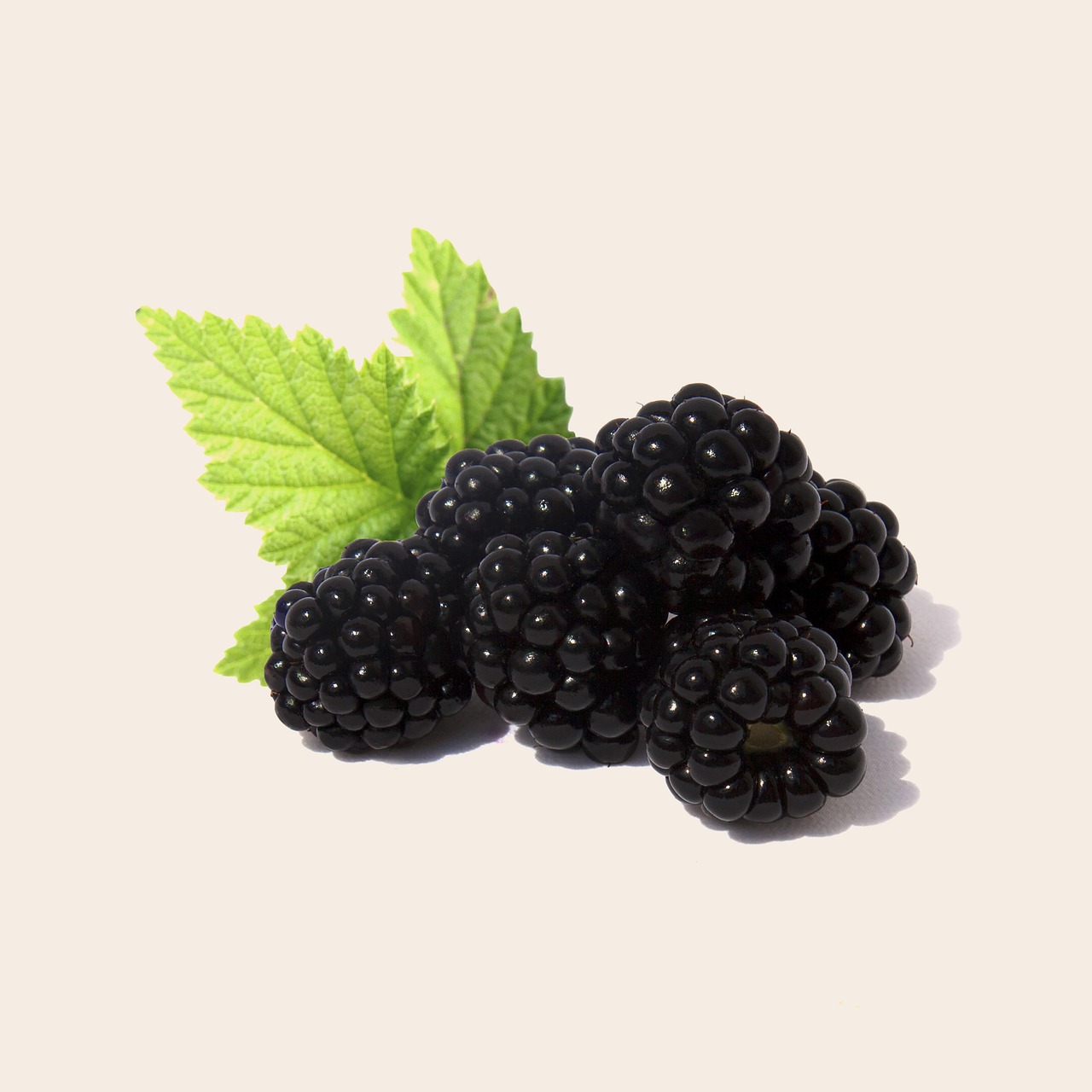 Blackberries, fruit, health — Vitamin B12 Injection