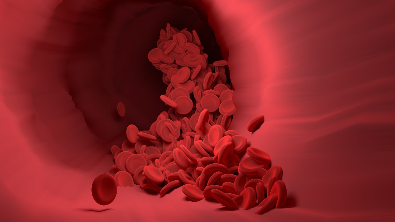 Red blood cells, blood vessel, blood flow — Why You Should Receive Sports Massage Singapore Therapy