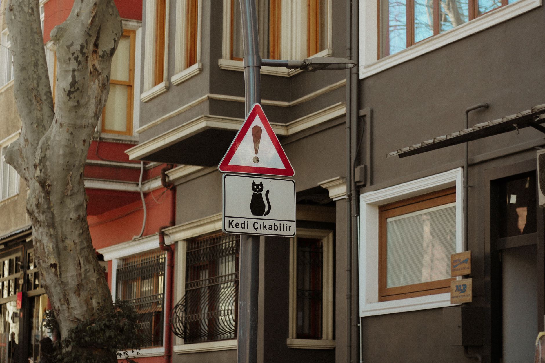 two exclamation marks town